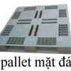 Pallet nhựa1000 x1600 x150 mm